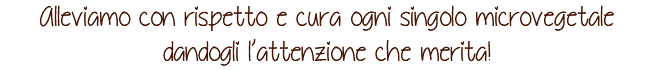 Alleviamo con rispetto e cura ogni singolo microvegetale dandogli l’attenzione che merita!